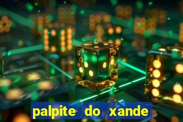 palpite do xande para hoje